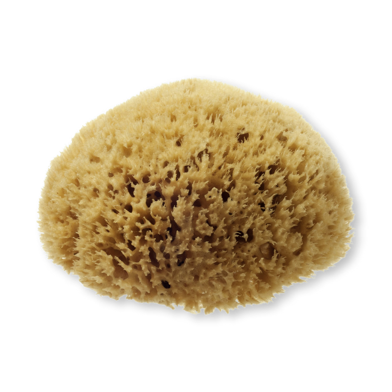 Hydrea London natural sea sponge for bathing, UK version