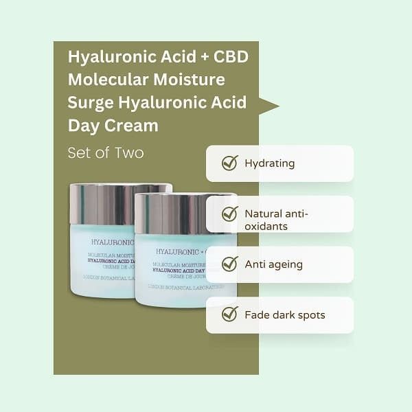 LBL- Hyaluronic Acid + CBD Moisture Surge Cream x2 GOODS Superdrug   