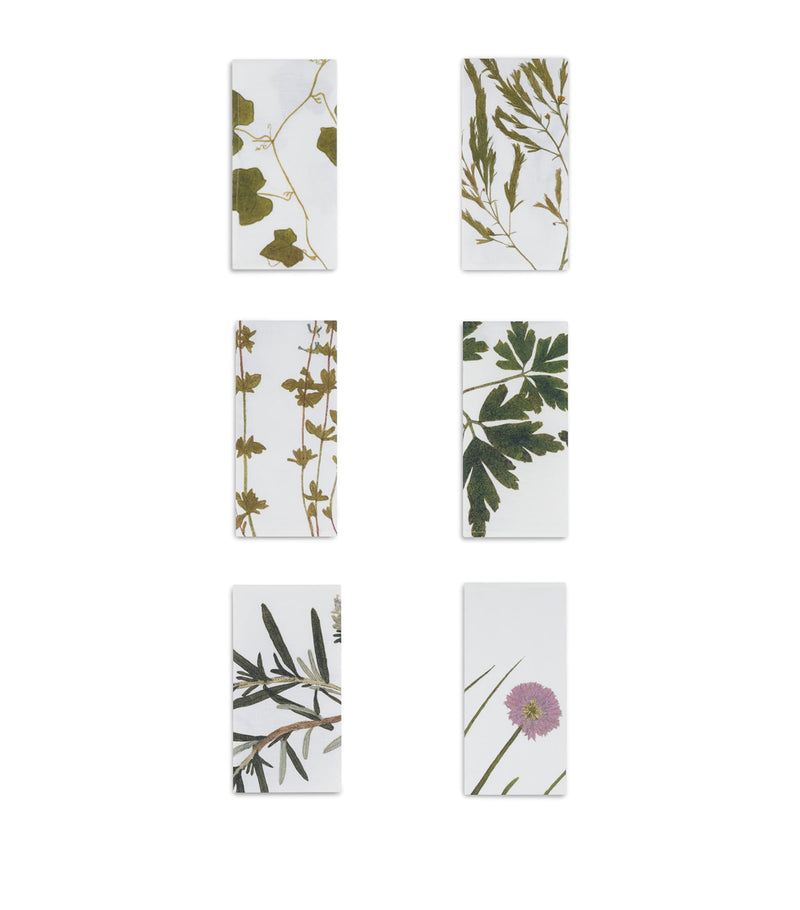 Summerill & Bishop gastronomic herb garden linen napkins 50cm x 50cm (British brand)