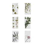 Summerill & Bishop gastronomic herb garden linen napkins 50cm x 50cm (British brand)