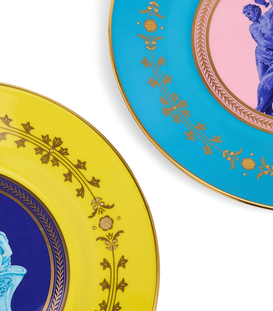 Wedgwood set of two Bacchus plates with gold detailing, 20.6cm diameter (British brand)