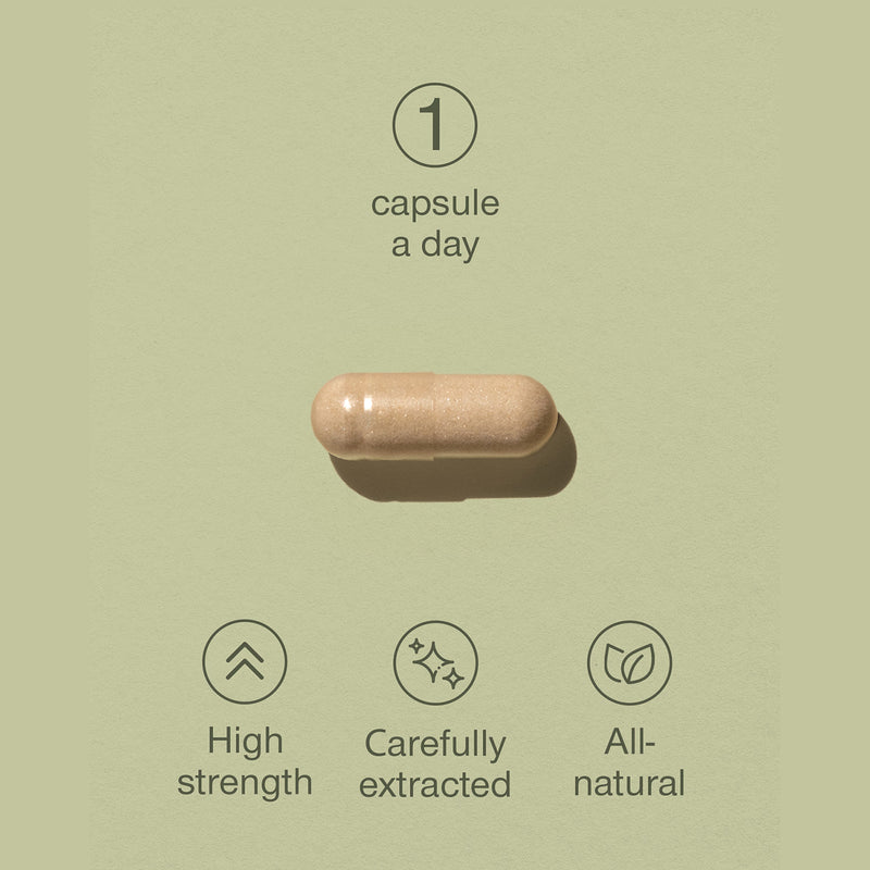 SuperSelf organic Lion's Mane mushroom supplement 30 capsules, UK version