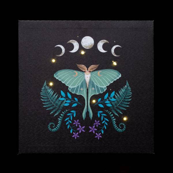 Something Different light up canvas luna moth 30cm (British brand)