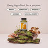 The Herbtender Perform & Recover Cordyceps Ginseng 60 capsules - British product