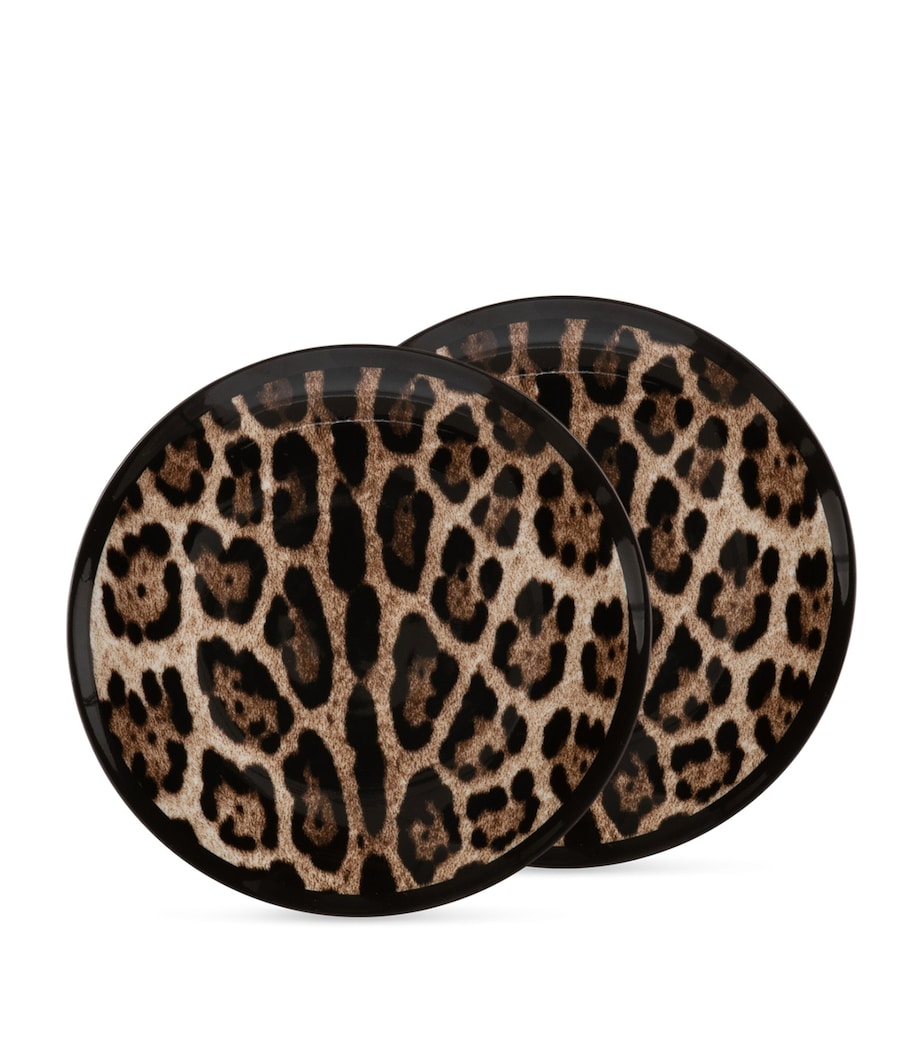 Dolce&Gabbana leopard print bread plates 17cm - British product