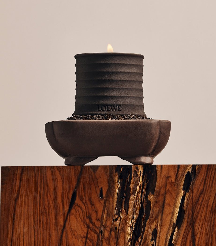 LOEWE Small Dendrochilum Orchid Scented Candle, UK version