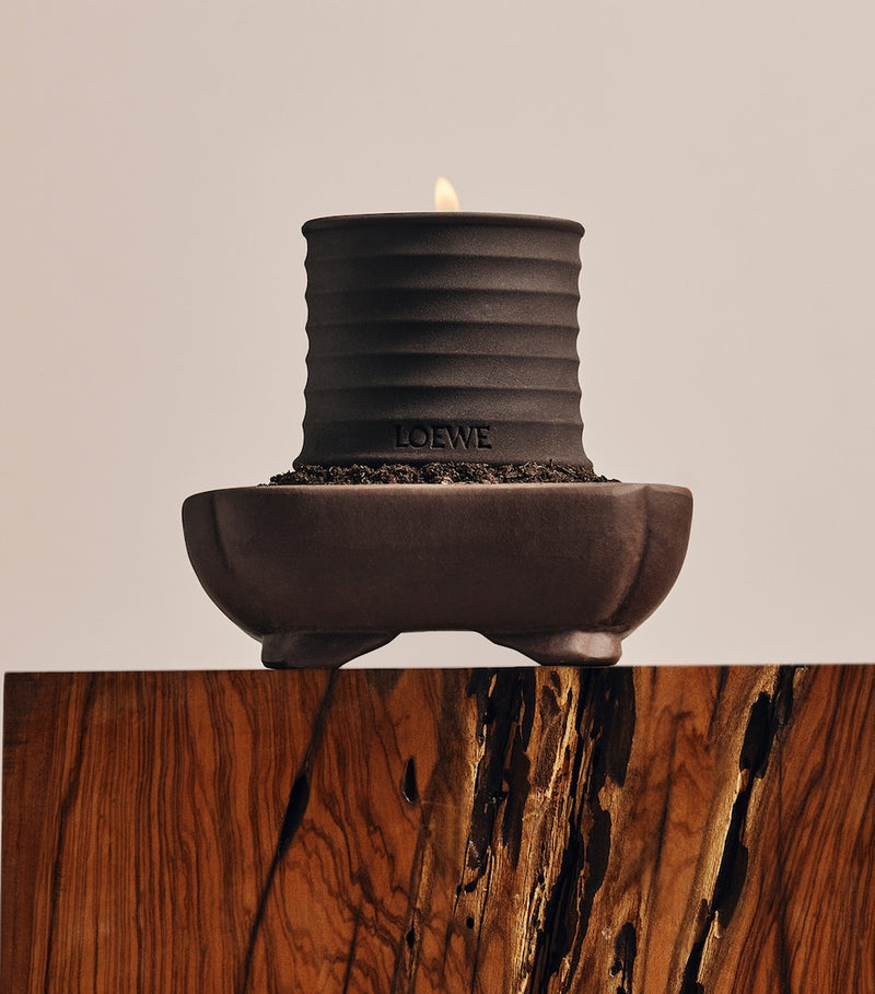 LOEWE Small Dendrochilum Orchid Scented Candle, UK version