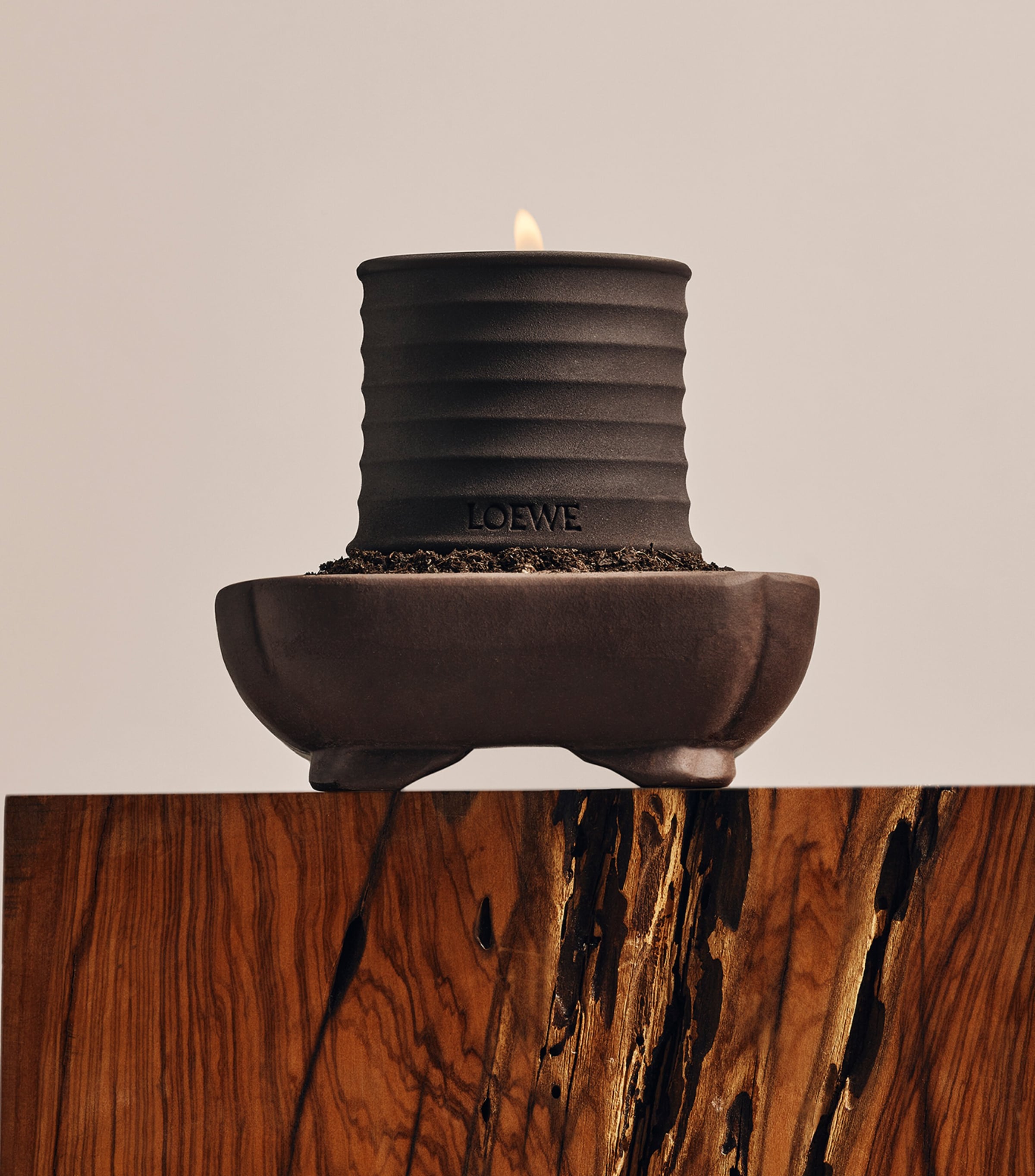 LOEWE Small Dendrochilum Orchid Scented Candle, UK version