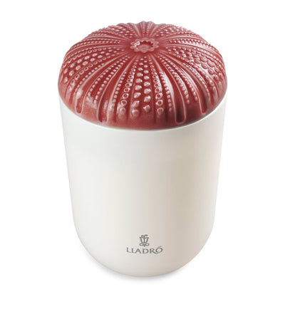 Harrods Lladró Echoes of Nature Unbreakable Spirit Scented Candle 200g- Buy online at McGrocer