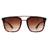 Police SPLB41 Origins brown gradient sunglasses, UK version