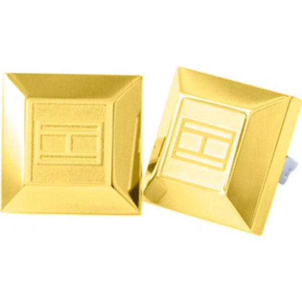 Tommy Hilfiger gold ladies earrings, imported from the UK