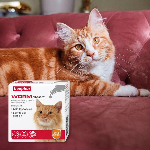 Beaphar WORMclear Worming Spot-On for Cats   6 per pack