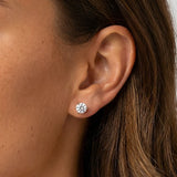 MUCHV silver solitaire stud earrings 6mm (British brand)