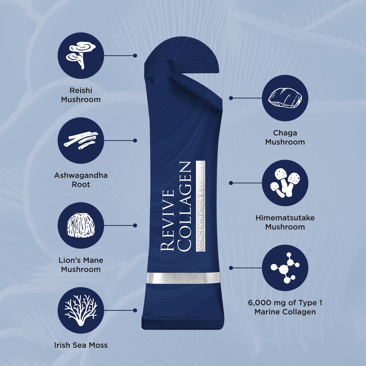 Revive Collagen mushroom blend Concentration & Clarity 14 sachets - British product