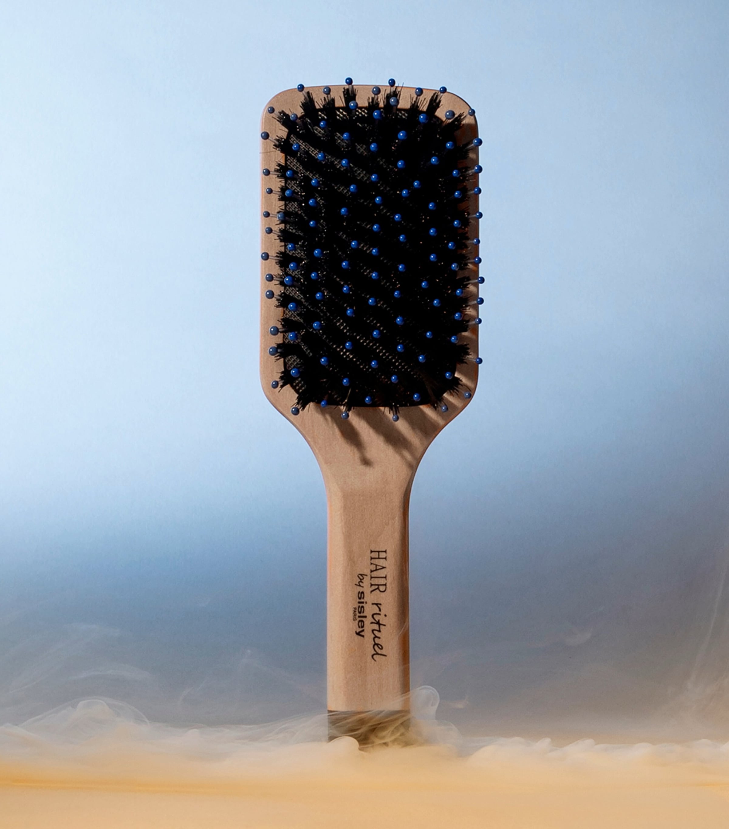 Sisley Pocket Brush Radiance and Softness (British brand)