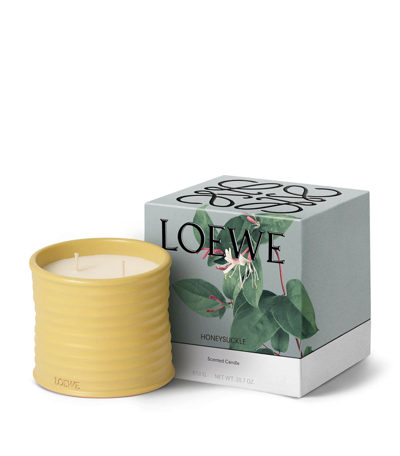 LOEWE Medium Honeysuckle candle, UK version