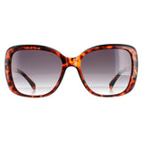 Karen Millen KM5036 brown gradient women's sunglasses (British brand)