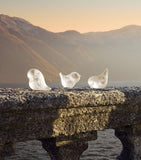 Lalique crystal bird sculpture Piou-Piou Wing Up 5.5cm, UK version
