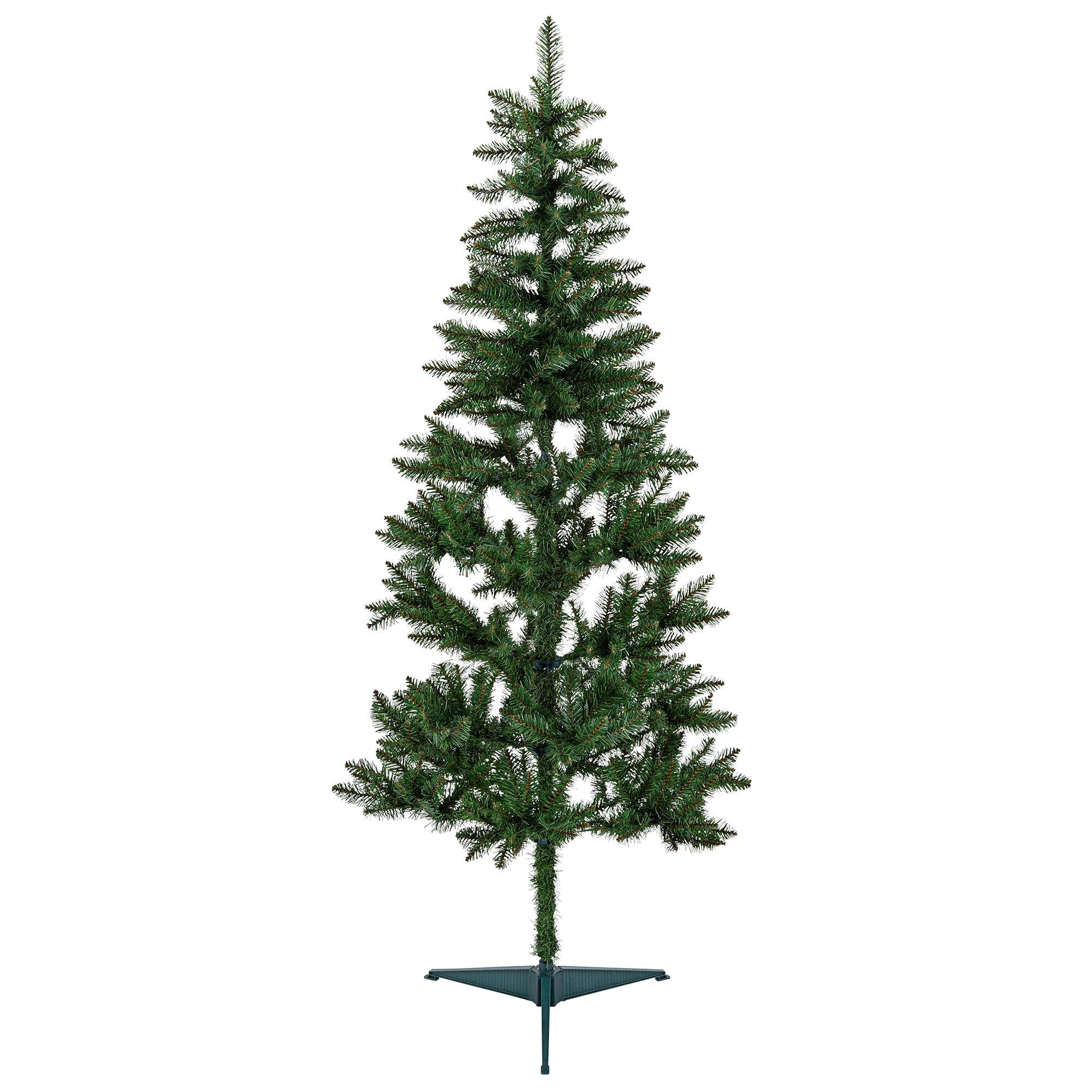 6ft Green Slim Evergreen Tree GOODS Sainsburys   