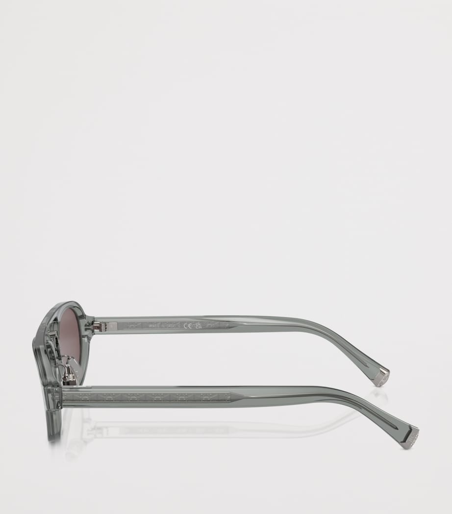 Brunello Cucinelli acetate BC4008S sunglasses, UK version