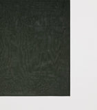 Max Mara silk-blend scarf (British brand)