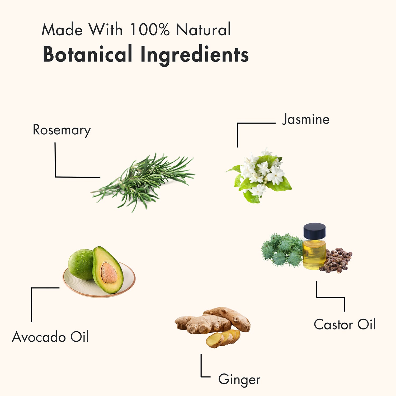 Beauty Renewal scalp and hair oil (British brand)