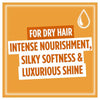 L'Oréal Paris Elvive Extraordinary Hair Oil 100ml, UK version