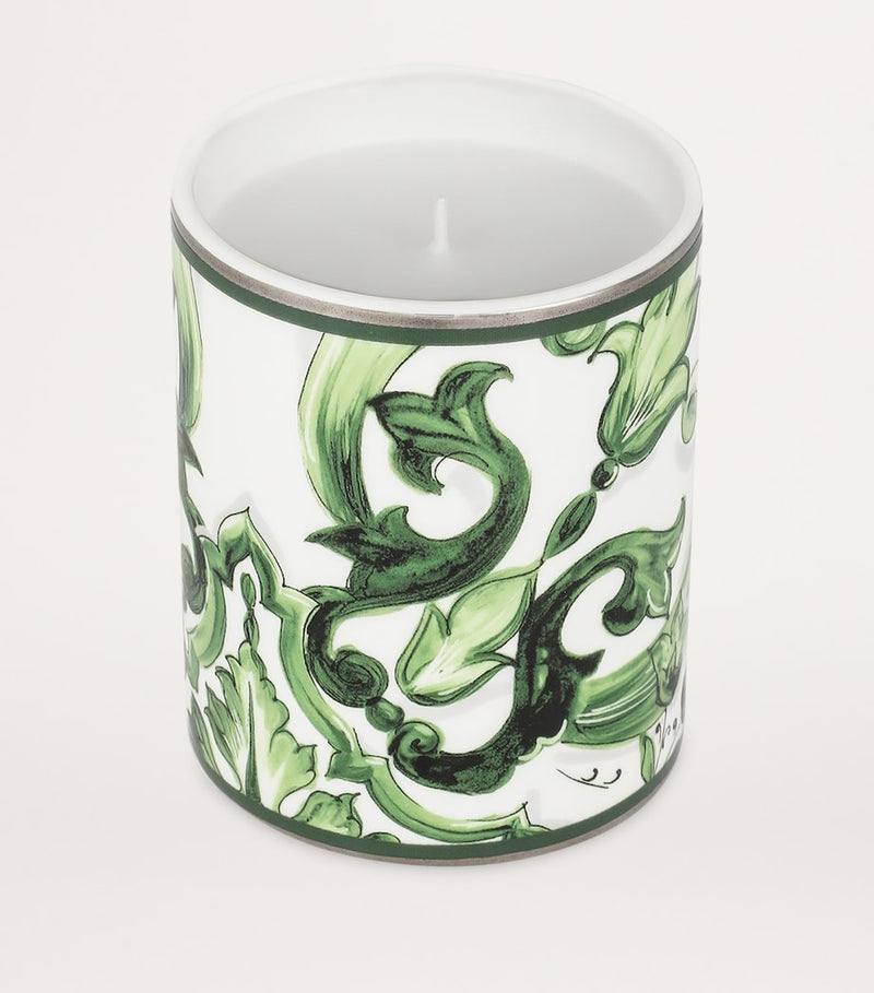 Dolce&Gabbana Sicilian neroli and lemon scented candle 340g - British product