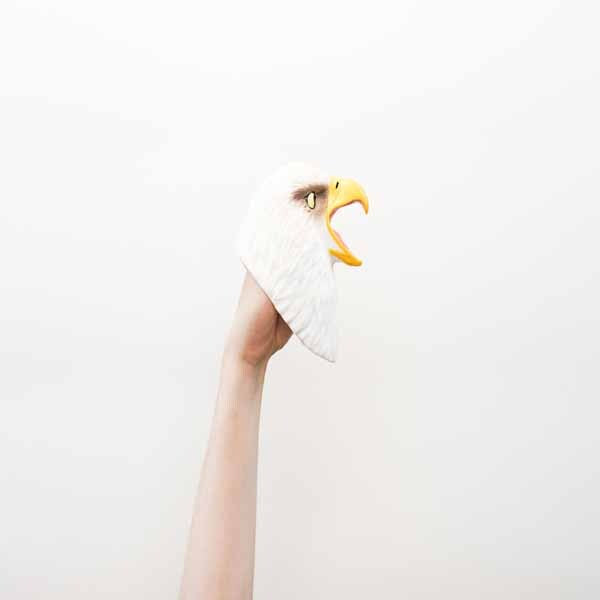 Wild Thingz White Eagle hand puppet (British brand)