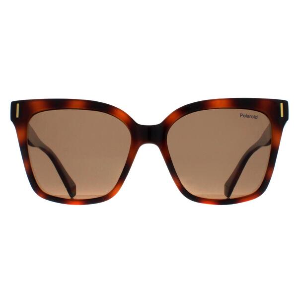 Polaroid cat eye brown polarized sunglasses (British brand)