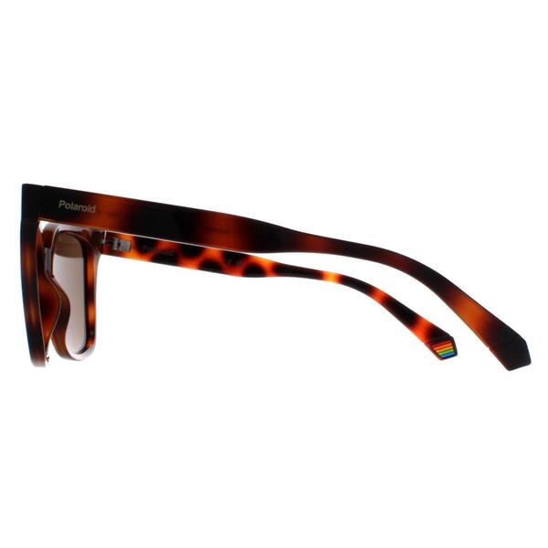 Polaroid cat eye brown polarized sunglasses (British brand)