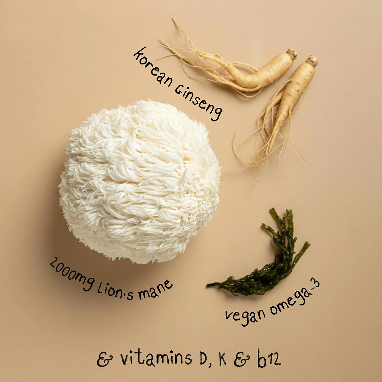 Grass & Co. Lion's Mane Mushroom Powder 100g, UK version