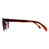 David Beckham DB1045/S brown tortoise sunglasses - British product