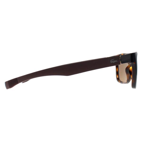 Lacoste brown polarised unisex sunglasses - British product