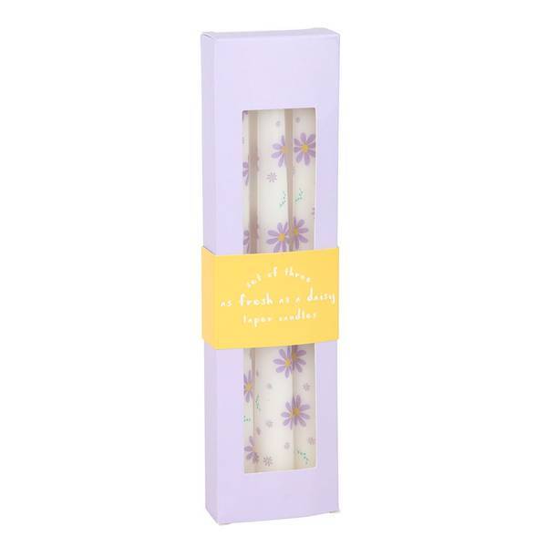 Something Different daisy taper candles pack of 3 - British product