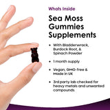 New Leaf sea moss gummies burdock root bladderwrack 60 count (British brand)