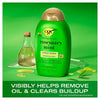 OGX Rosemary Mint Conditioner 385ml, imported from the UK