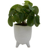 Habitat Artificial Faux Floral Small Money Plant GOODS Sainsburys   