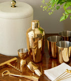 Aerin stainless steel cocktail shaker set with jigger - British product