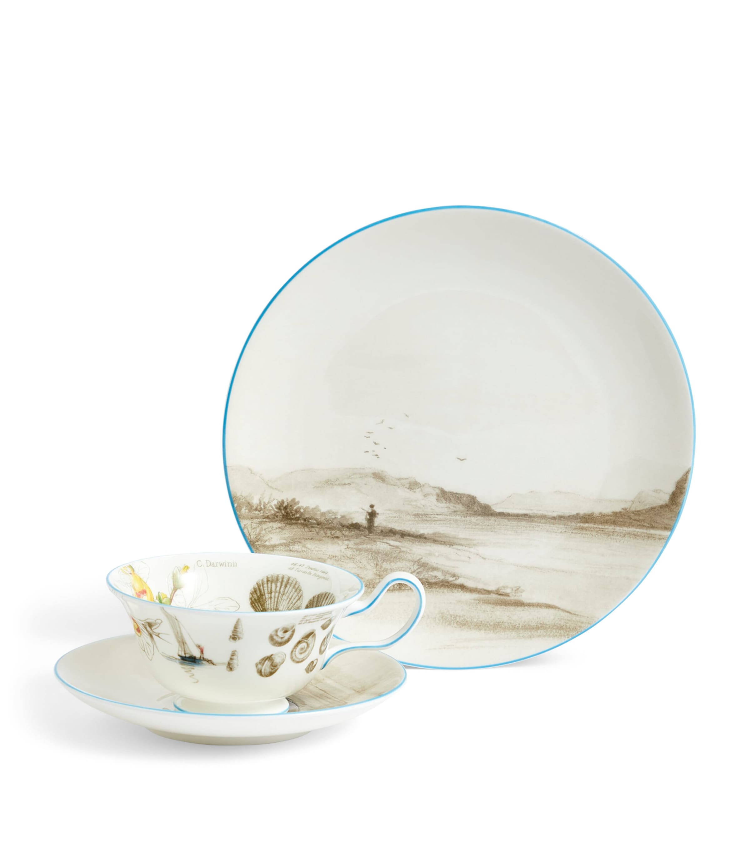 Wedgwood Voyage of the Beagle Brazil bone china tea set (British brand)