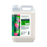 Faith In Nature Tea Tree Conditioner 400ml GOODS Holland&Barrett