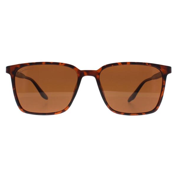 Montana brown polarised sunglasses (British brand)