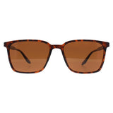 Montana brown polarised sunglasses (British brand)