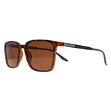 Montana brown polarised sunglasses (British brand)