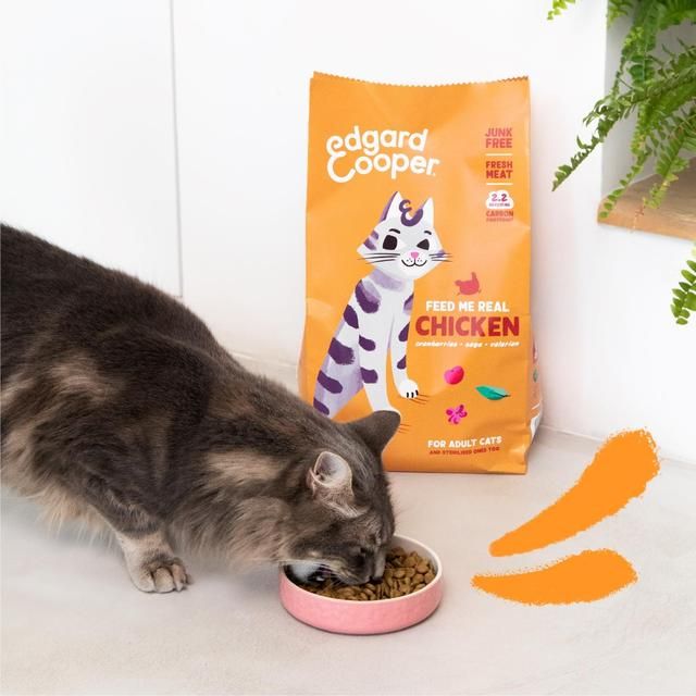 Edgard &amp;amp; Cooper Cat Dry Food Adult Chicken   2kg