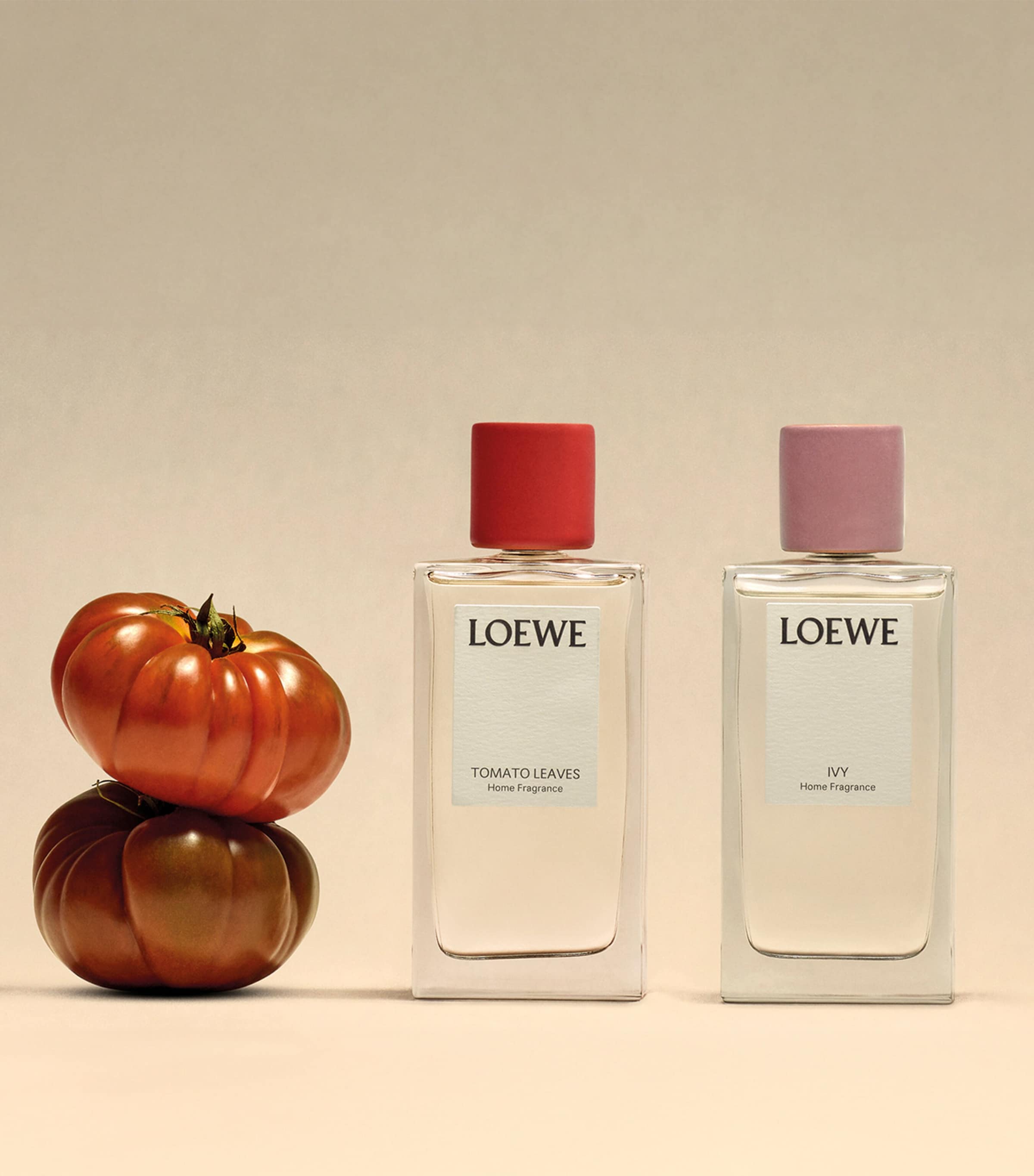LOEWE Tomato Leaves Room Spray 150ml, UK version