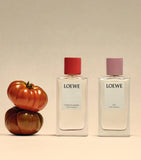 LOEWE Tomato Leaves Room Spray 150ml, UK version