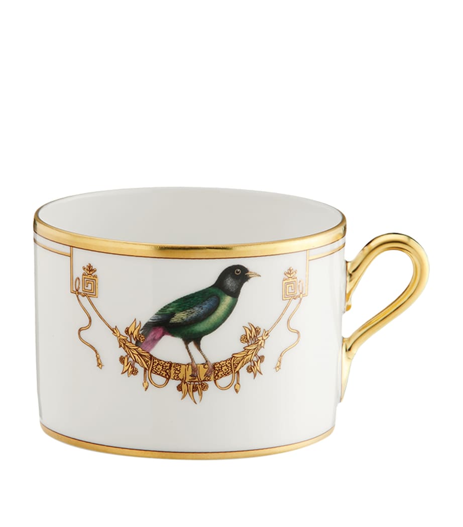 GINORI 1735 Volière porcelain teacup, UK version