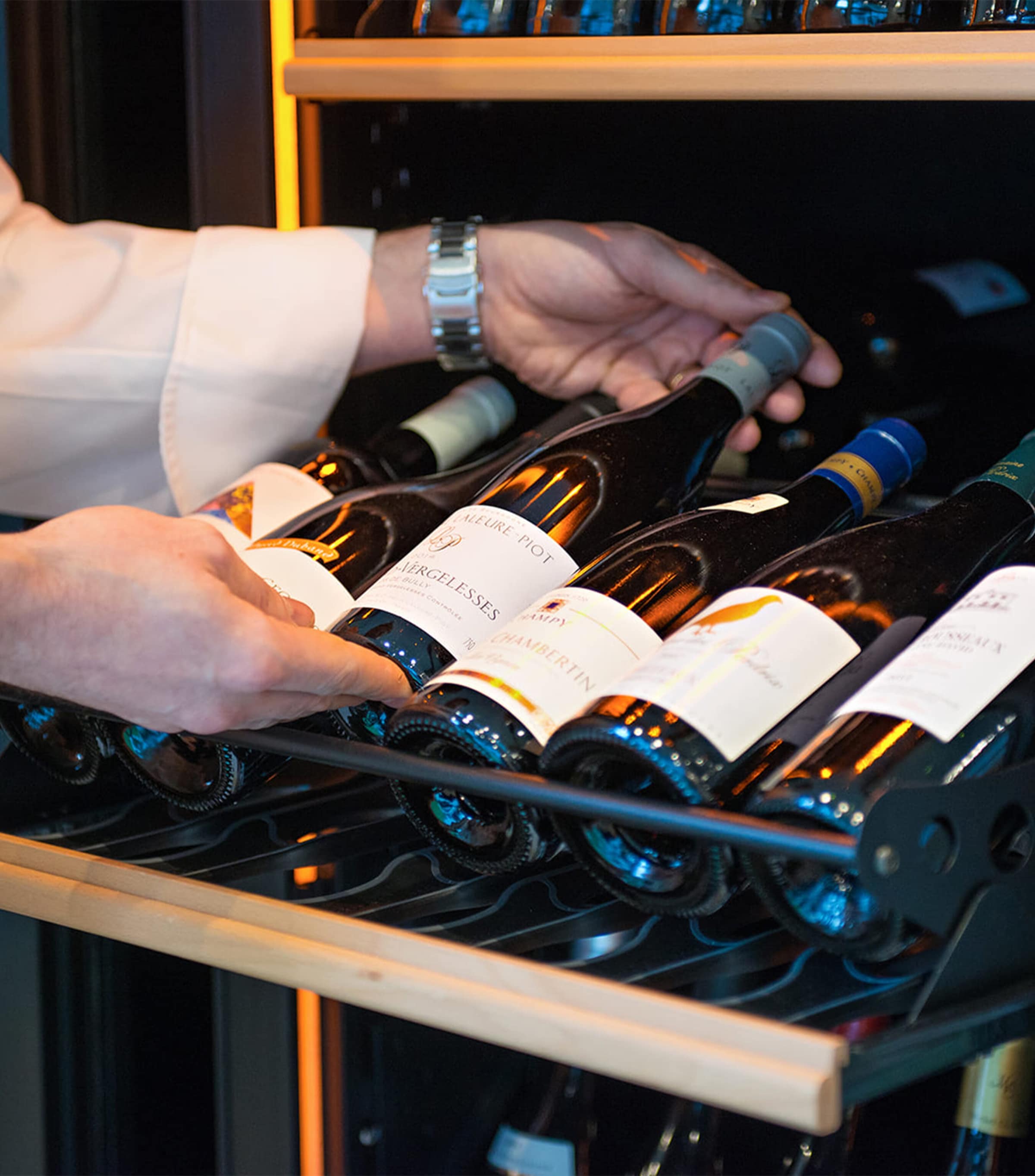 Eurocave Medium Single-Temperature Free-Standing Pure Wine Cabinet - British product