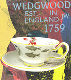 Wedgwood bone china tea set with Voyage of the Beagle design, 3-piece set (British brand)